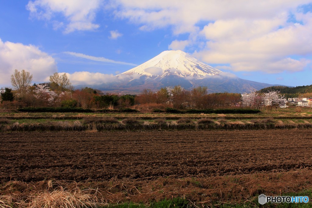 田植えの時期のお楽しみ