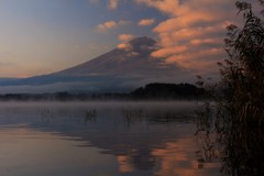 朝靄の水面に…。