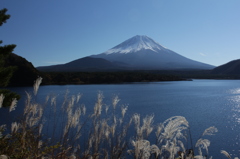 秋の足跡