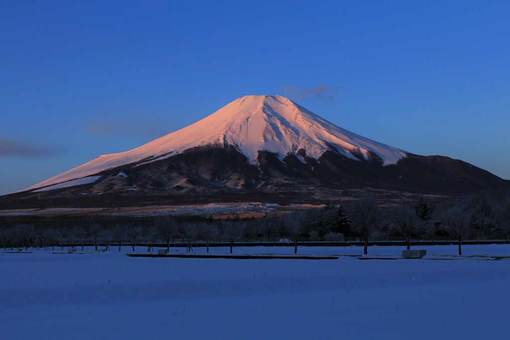 雪原の夜明け