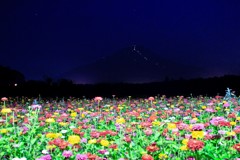 お花畑の夜明け前。