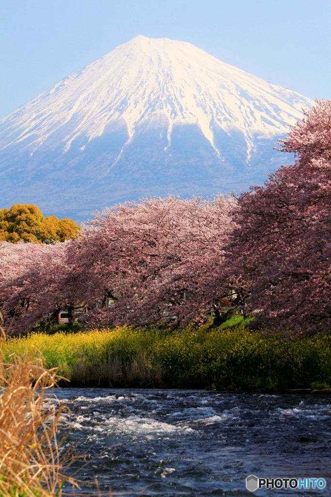 流るる川の畔から…。