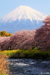 流るる川の畔から…。