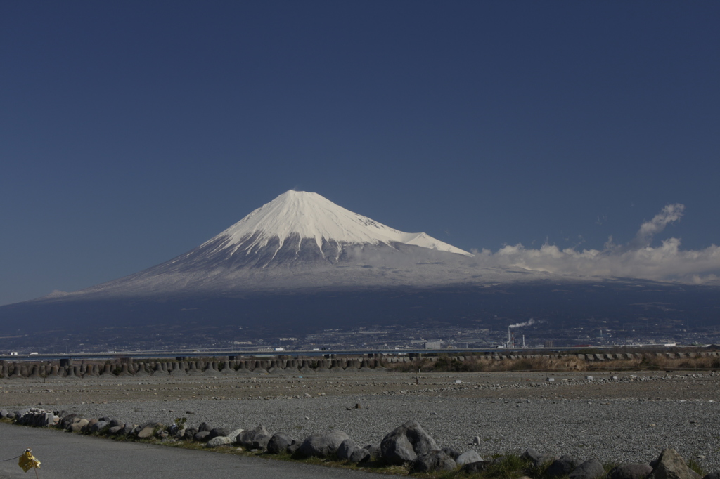 海の桜が咲く前に…