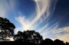 夕暮れ時、木々と青空と…流るる雲