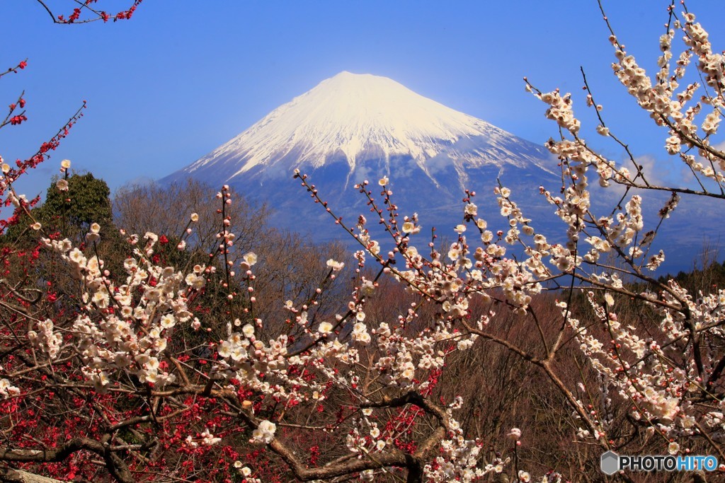 春風に誘われて