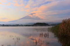 朝靄の湖畔にて
