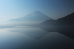 ここでは珍しい光景