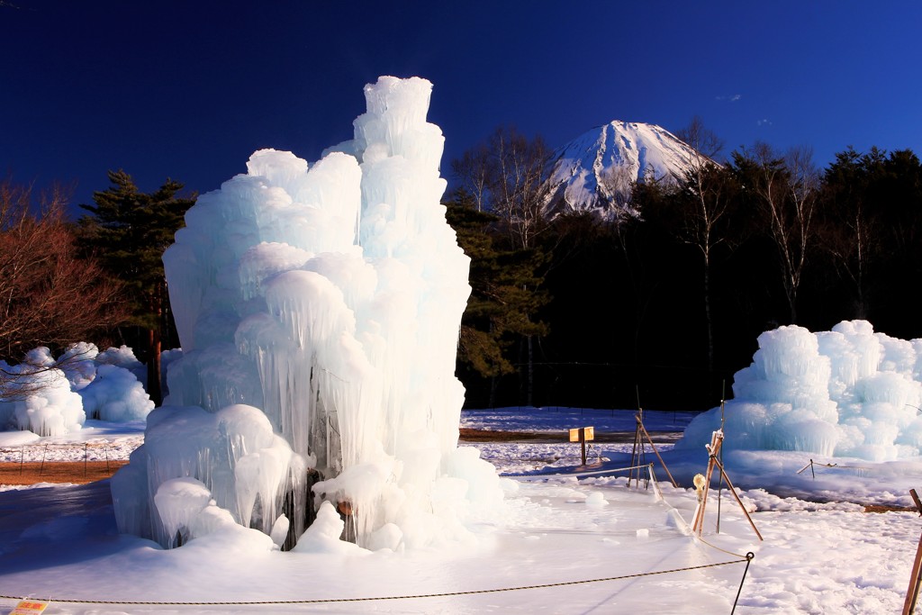 木々の奥から、樹氷を見下ろす