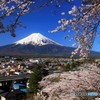 帰り際、再びこの場所から…。