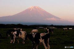 夕暮れ時の晩餐会