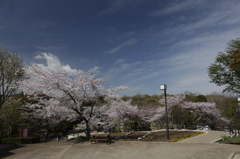 やわらかな風景