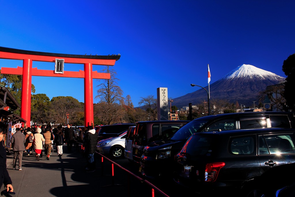 青空の下、鳥居と一緒に。