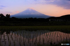 田園の夕景