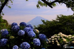 梅雨の中休み