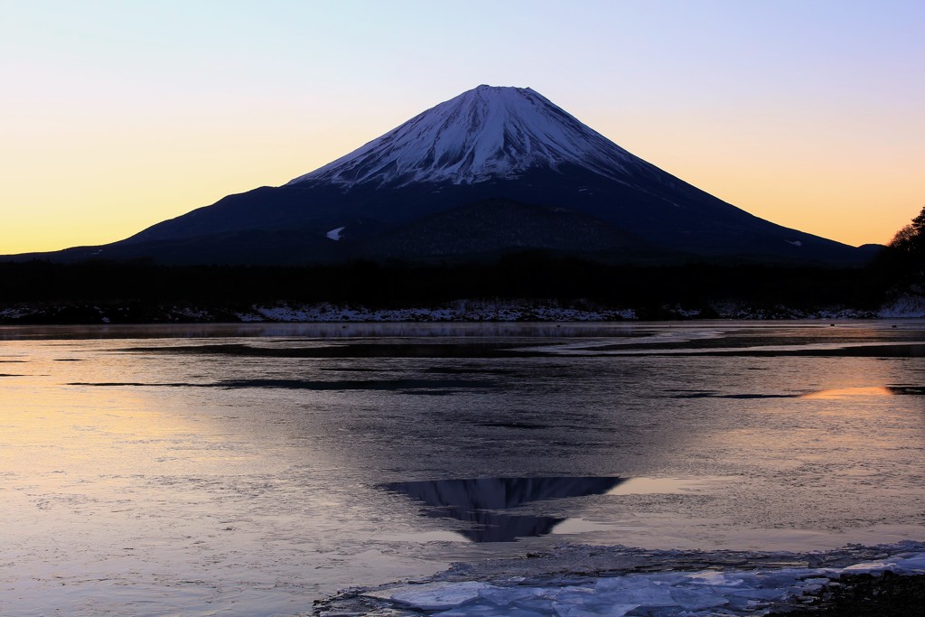 凍った水面の隙間から
