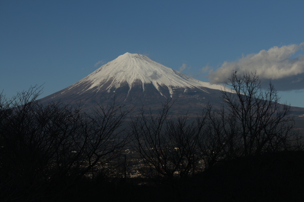 寒空に誘われ…