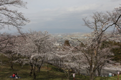 園内から街を見下ろす