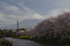 振り返ると…そこには。