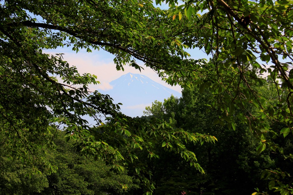 緑の額縁で…