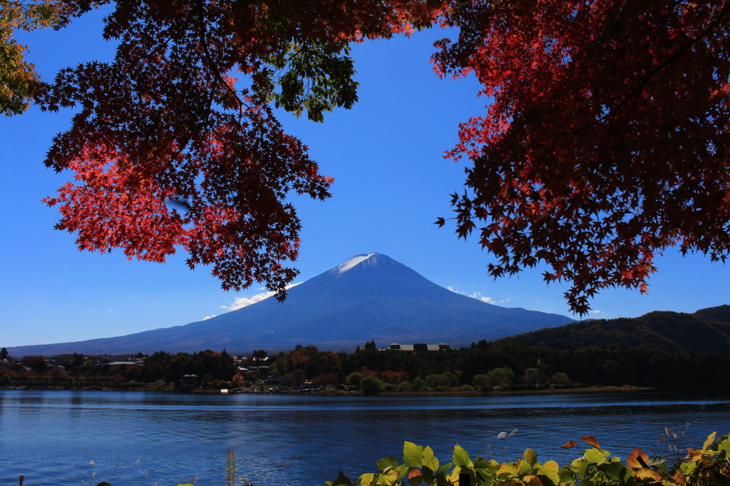 紅葉めぐり～河口湖にて…。
