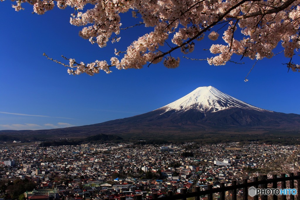 蒼空の下、富士と桜と朝の街。