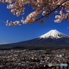 蒼空の下、富士と桜と朝の街。
