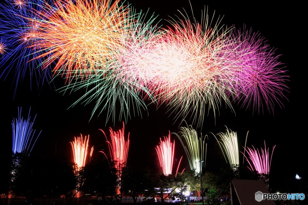 夏夜の彩りに、会いに行く。
