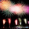 夏夜の彩りに、会いに行く。