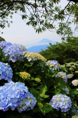 縦構図で、撮ってみた。