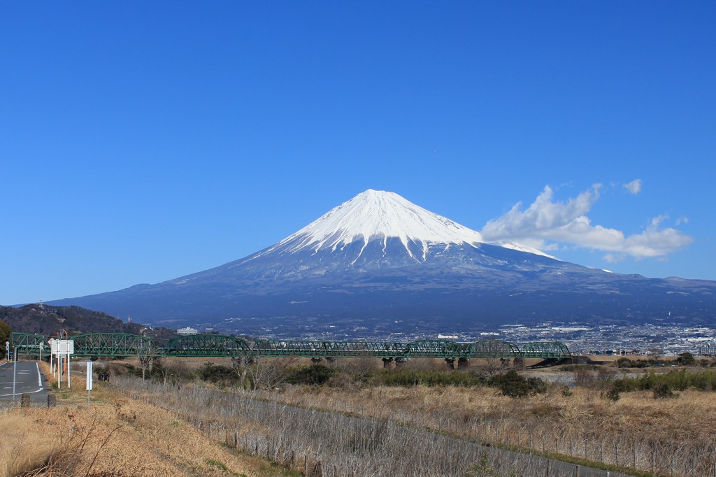 我が家の近くから…