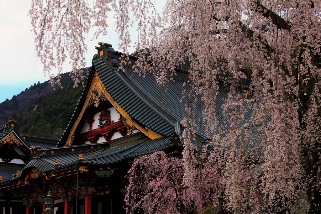 信仰の山の春