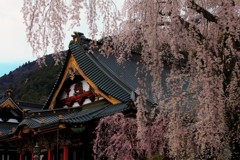 信仰の山の春