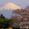 我が街の春