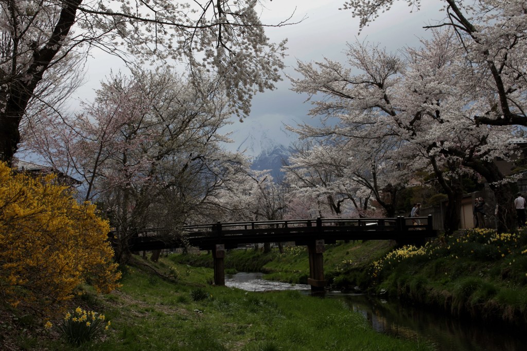 橋の近くから。