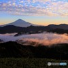 雲海と茶畑と鱗雲…そして、富士。