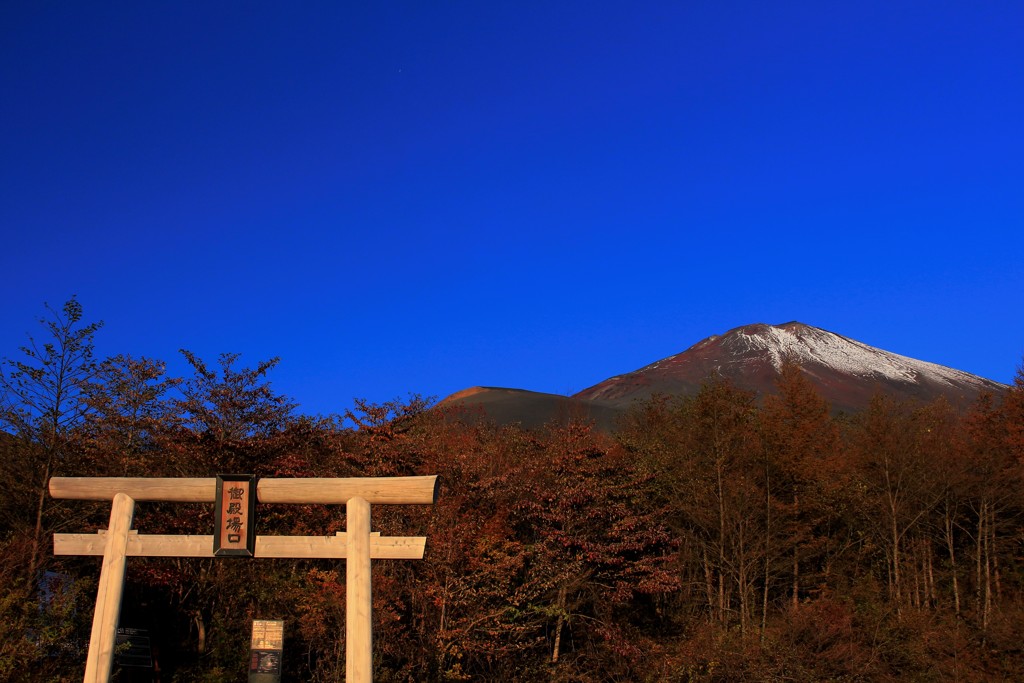 聞こえた…冬の足音。