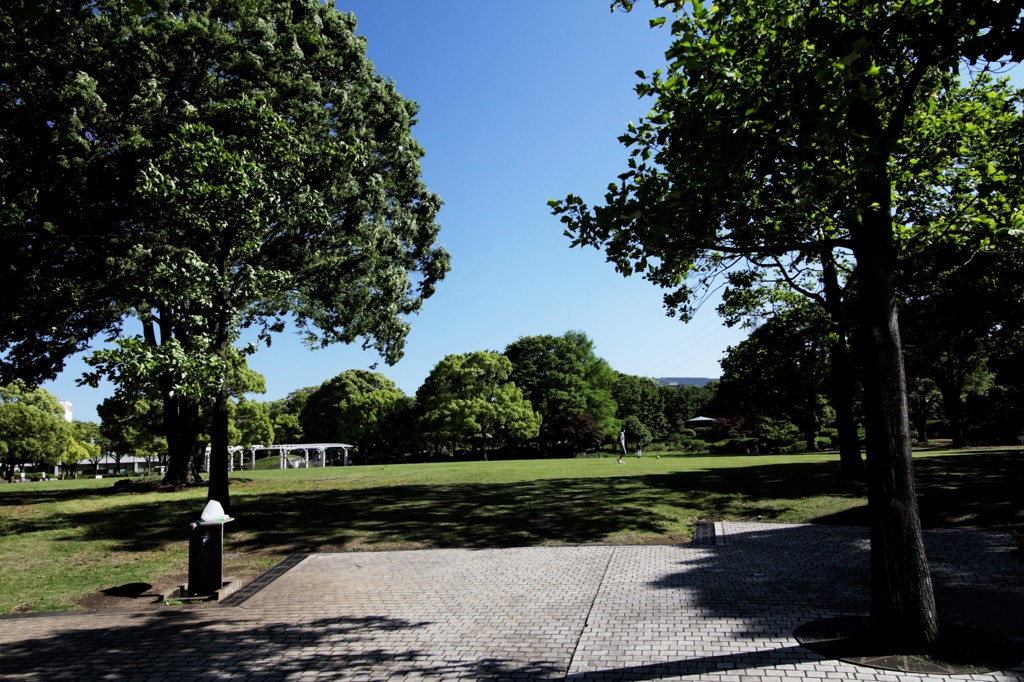 新緑の公園にて…