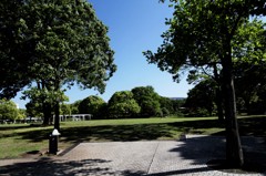新緑の公園にて…