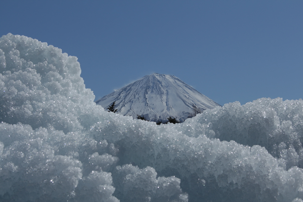 富士山をさがせ。