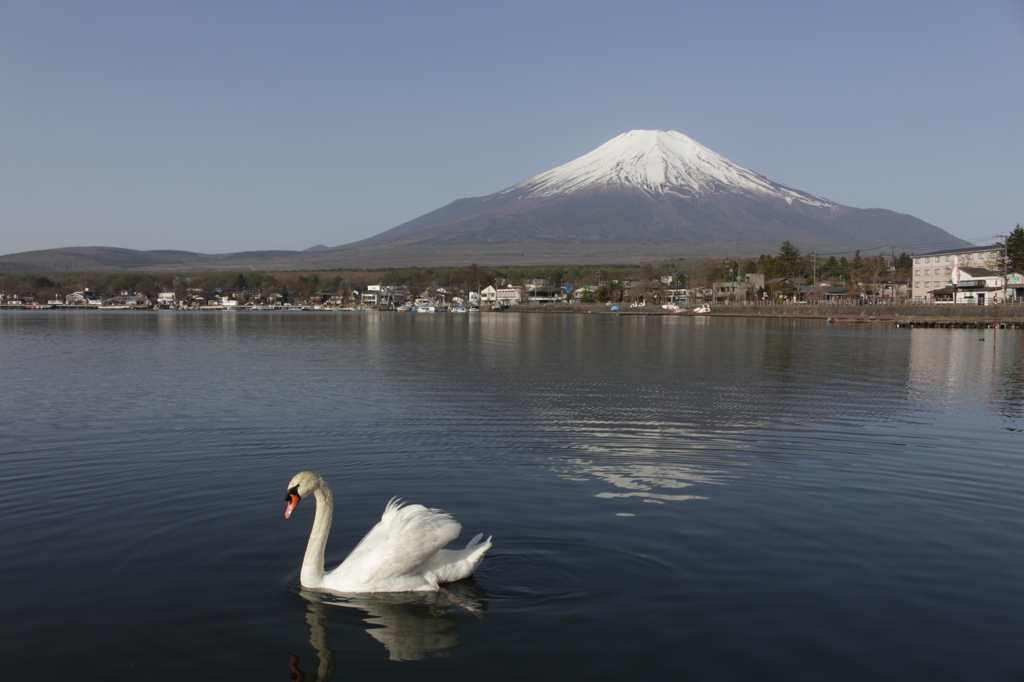 せっかくだから、一緒に…。