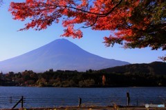 彩りの湖畔で迎える朝