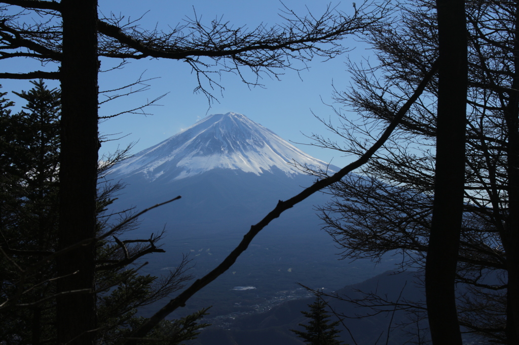 木々の隙間から…