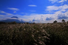 風吹く草原にて