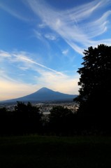 夕方の空に絹が舞う