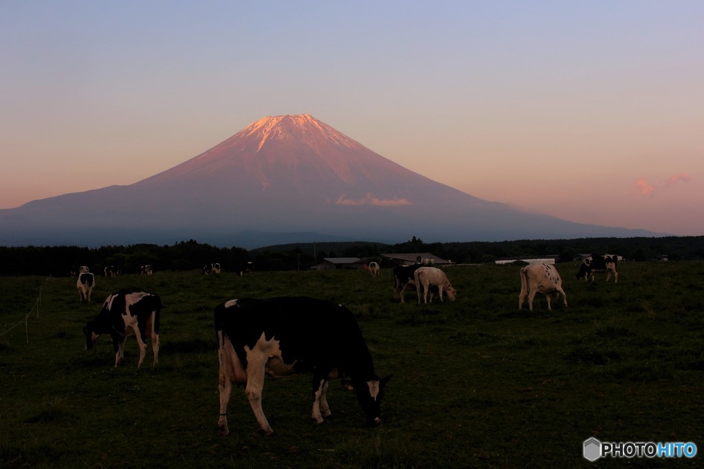 草原ののどかな夕暮れ