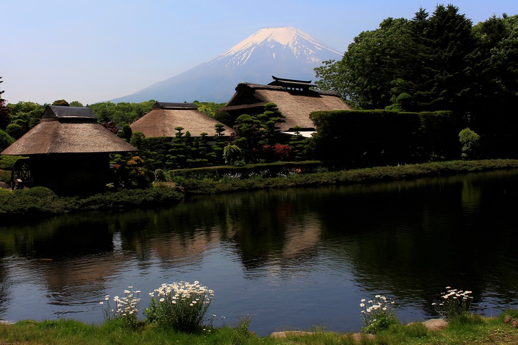 茅葺屋根の初夏
