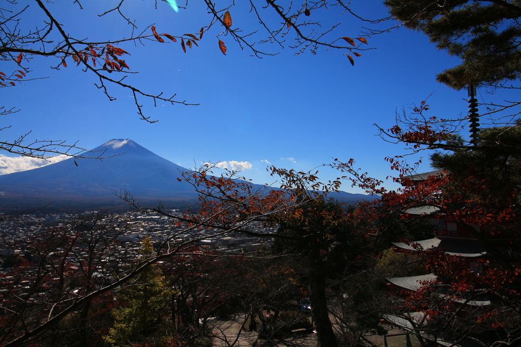 紅葉めぐり～新倉山にて…。