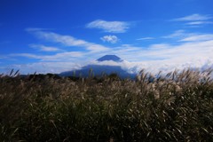 昼下がりの草原にて…。