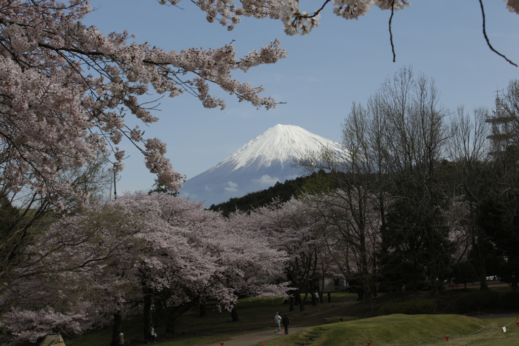 朝のひととき